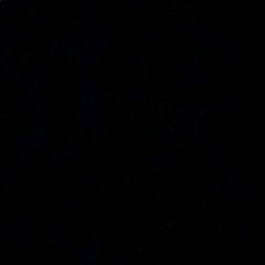 Meet your Posher, Silvio